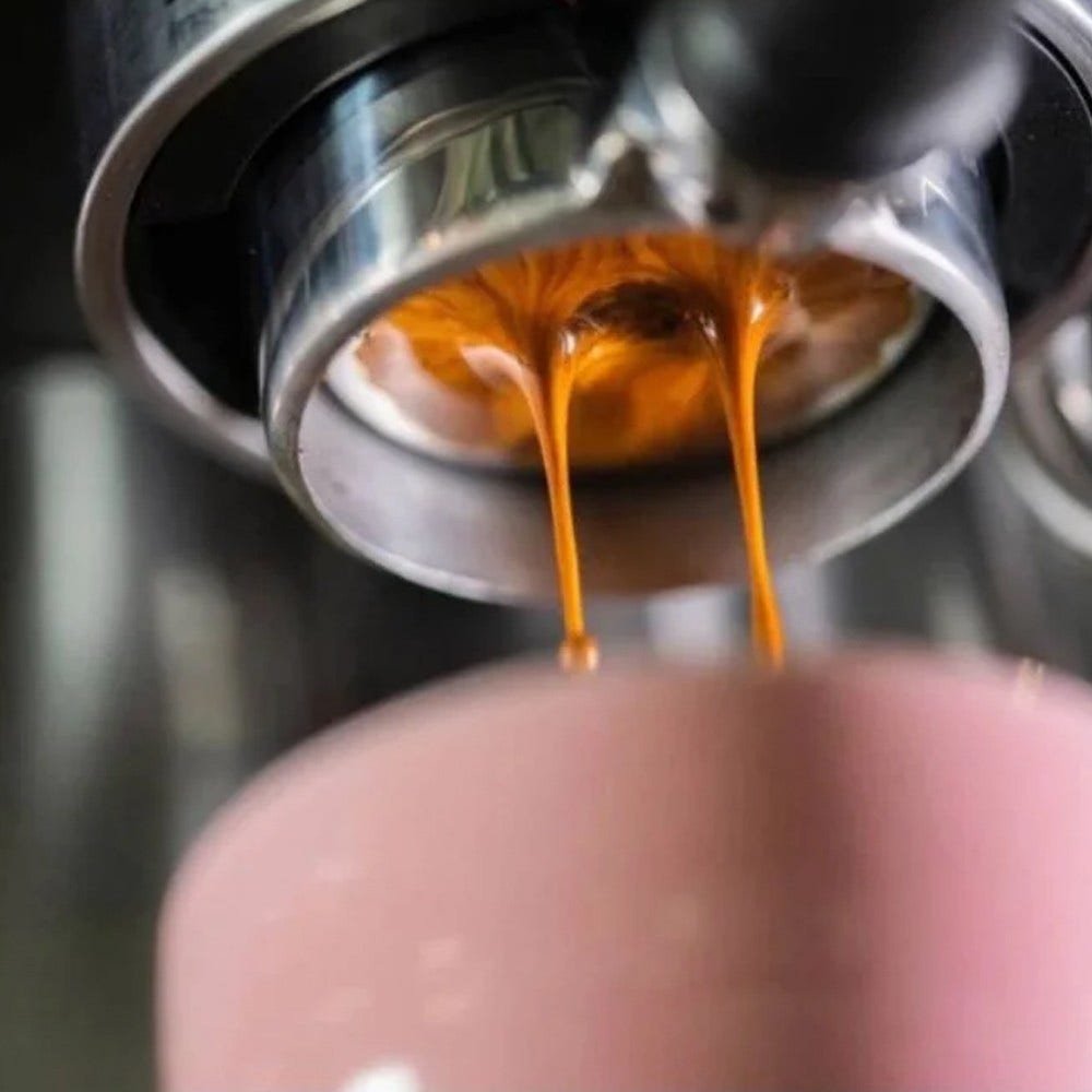 Solis IMS Perfetta vandfordelingsplade til kaffemaskine 700.60