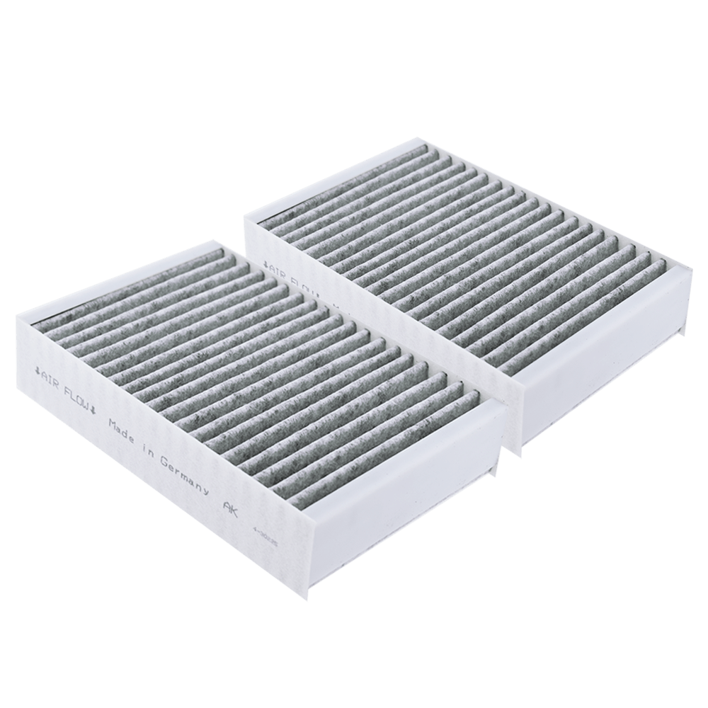 Kulfilter egnet til Miele DKF 31-P (2 stk.)