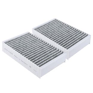 Kulfilter egnet til Miele DKF 31-P (2 stk.)