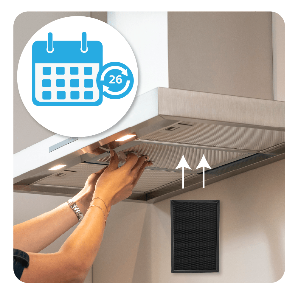 2-i-1 regenererbart kulfilter, passer til Electrolux 140204164028