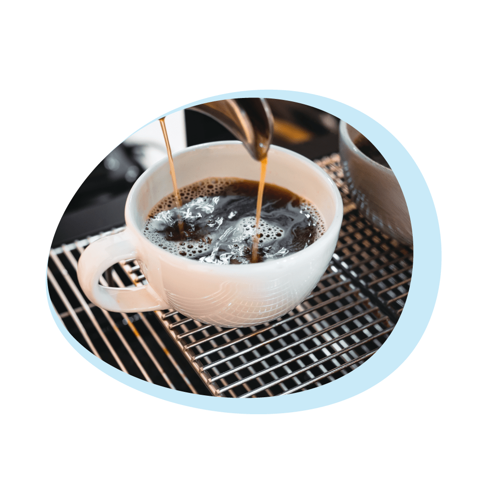 Flydende afkalker egnet til De'Longhi EcoDecalk DLSC500 (500 ml)