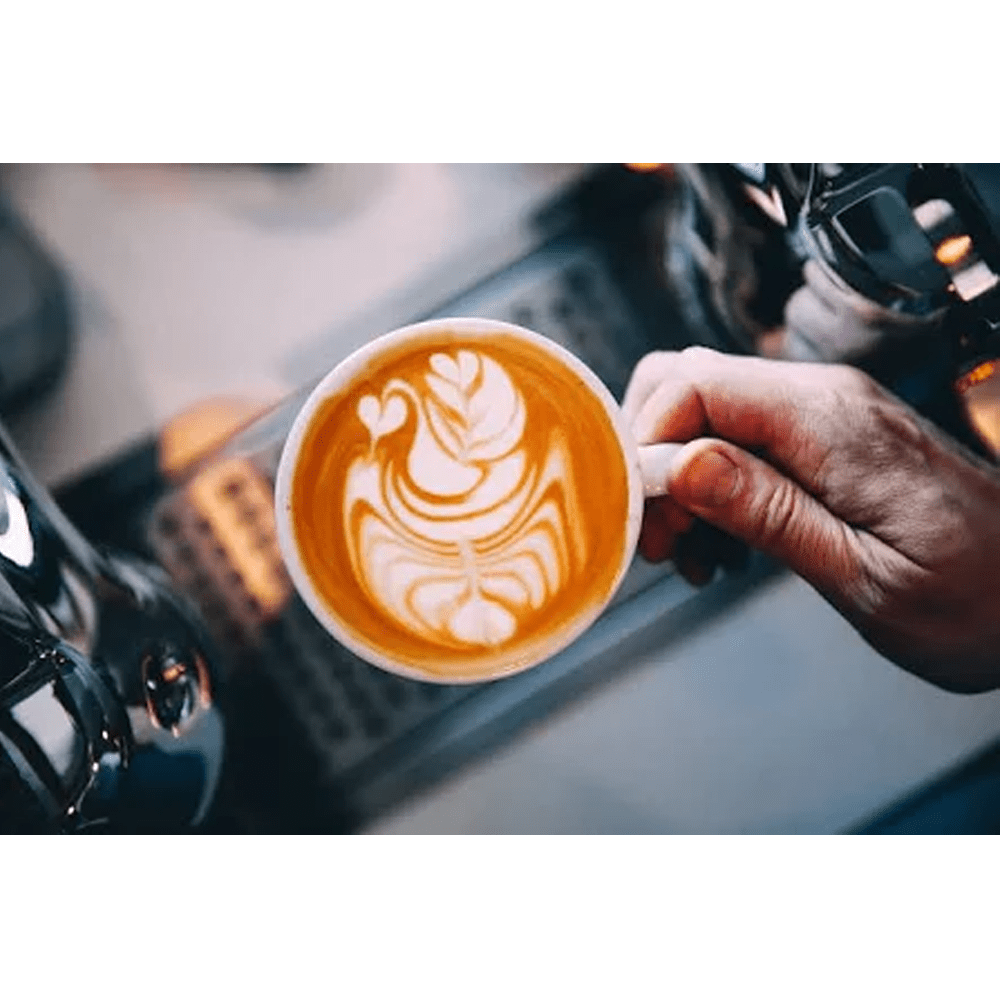 De'Longhi LatteCrema System Mælkebeholder DLSC012 / 5513296641
