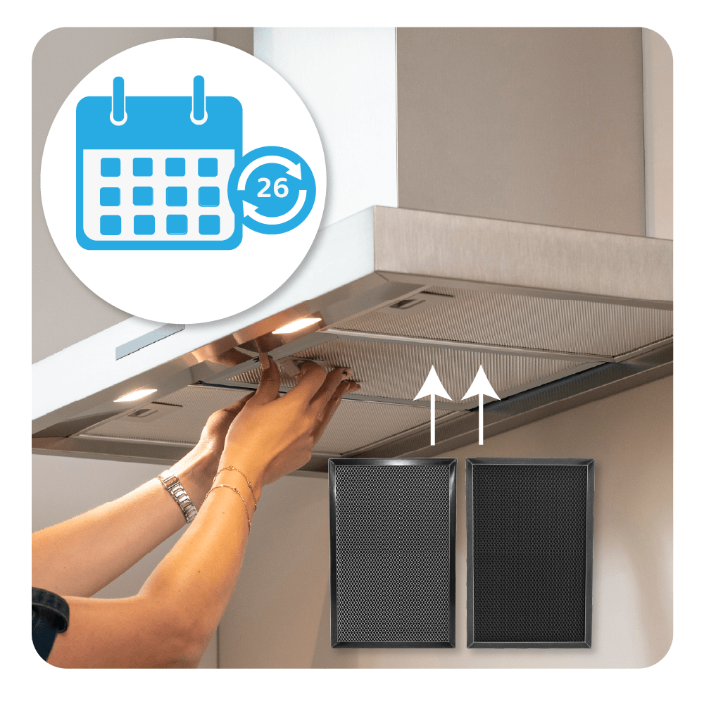 2-i-1 regenererbart kulfilter, passer til Electrolux 140204164028
